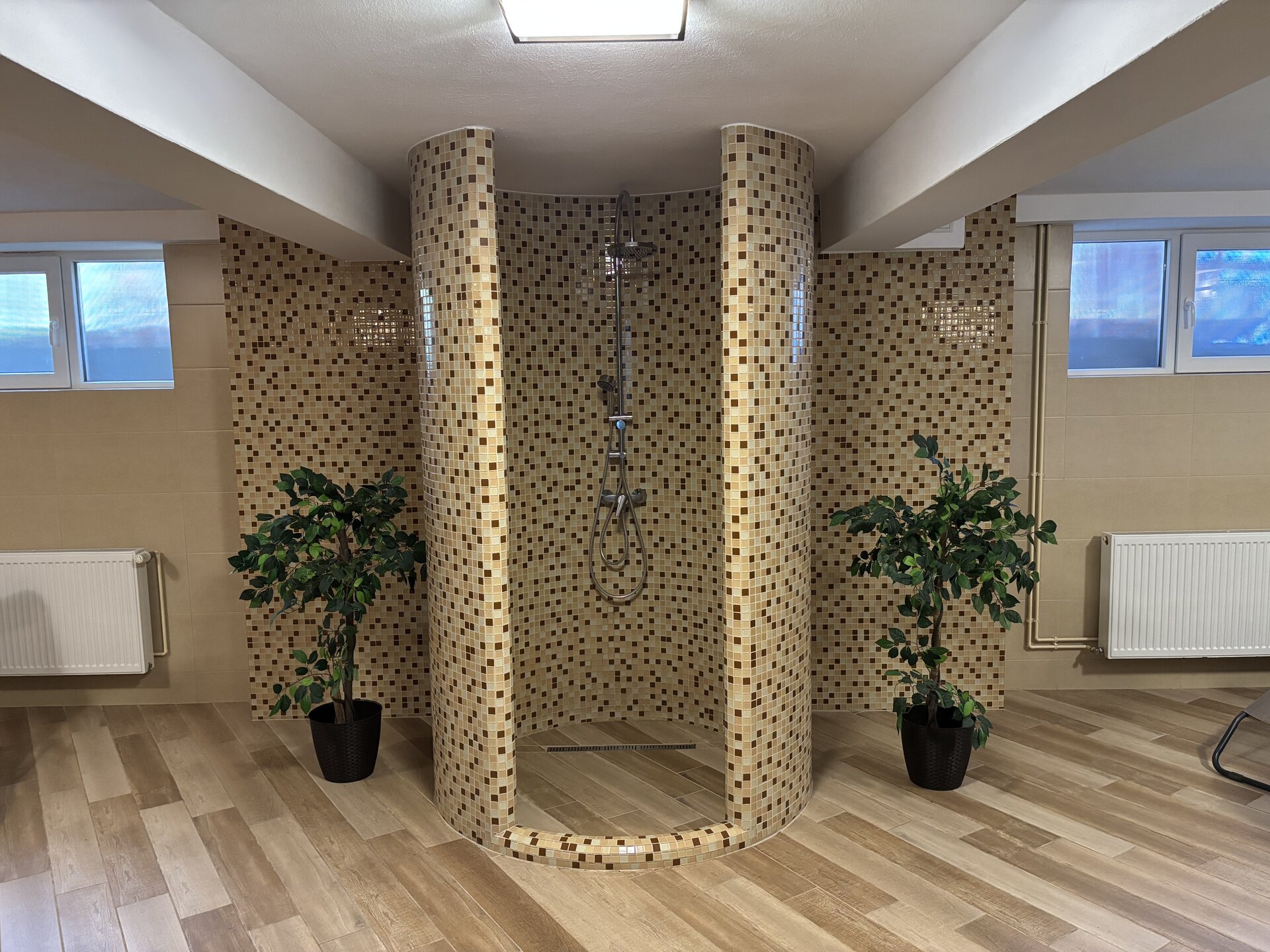 Cabină de duș cu mozaic decorativ